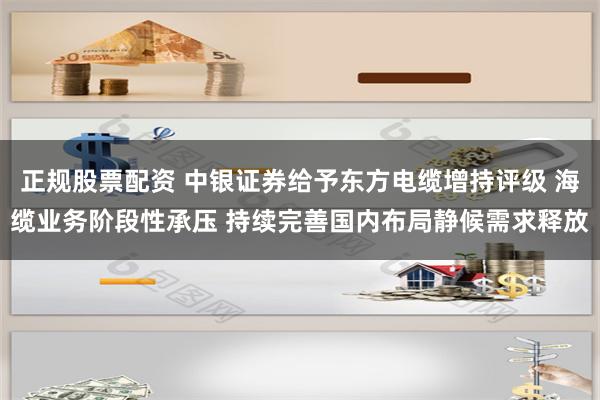 正规股票配资 中银证券给予东方电缆增持评级 海缆业务阶段性承压 持续完善国内布局静候需求释放