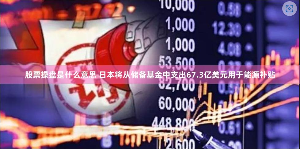 股票操盘是什么意思 日本将从储备基金中支出67.3亿美元用于能源补贴