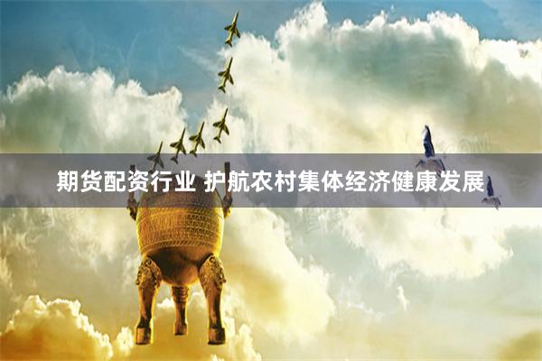 期货配资行业 护航农村集体经济健康发展