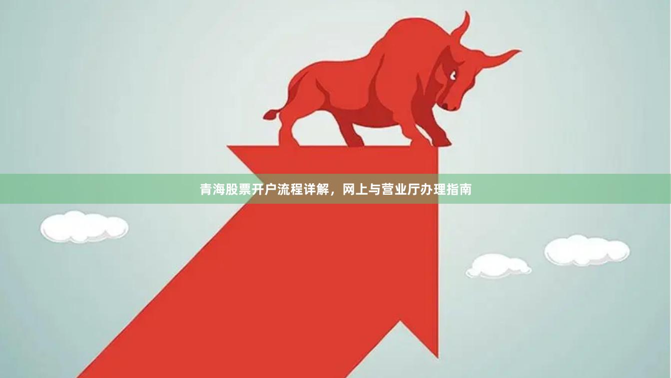 青海股票开户流程详解，网上与营业厅办理指南